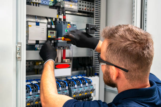 Best Electric Panel Repair  in Coon Rapids, IA